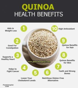 15 Health Benefits Benefits of Quinoa (Chenopodium quinoa willd.)