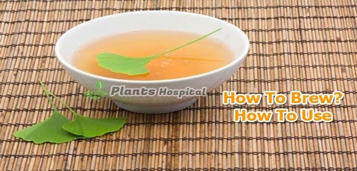 benefits-of-ginkgo-biloba-tea