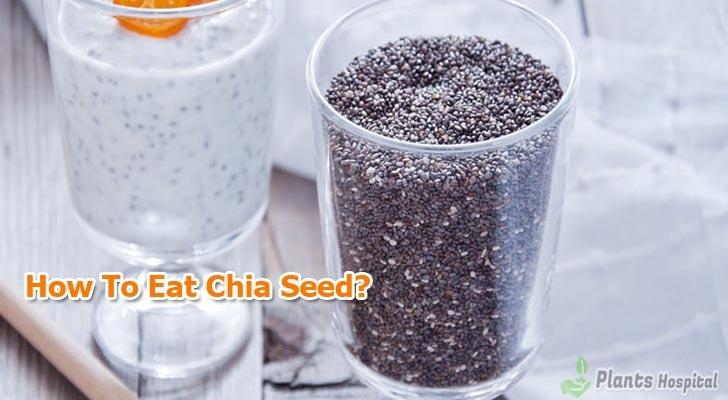 how-to-make-chia-seed