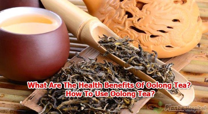 oolong-tea-benefits