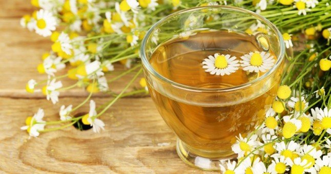 Top 10 Amazing Health Benefits Of Chamomile Tea And Plant