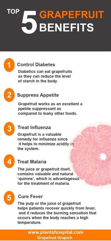 Grapefruit-infographic