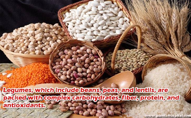 Legumes-which-include-beans-peas-and-lentil