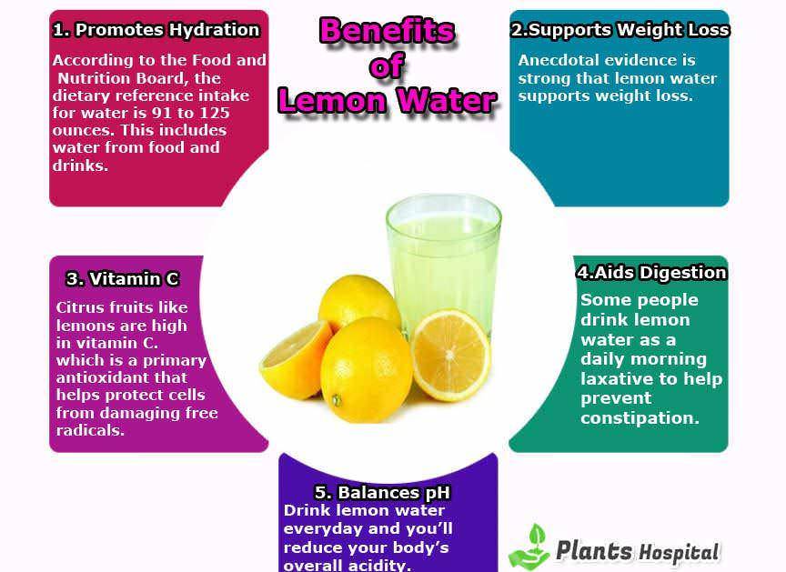 Lemon-Water-info
