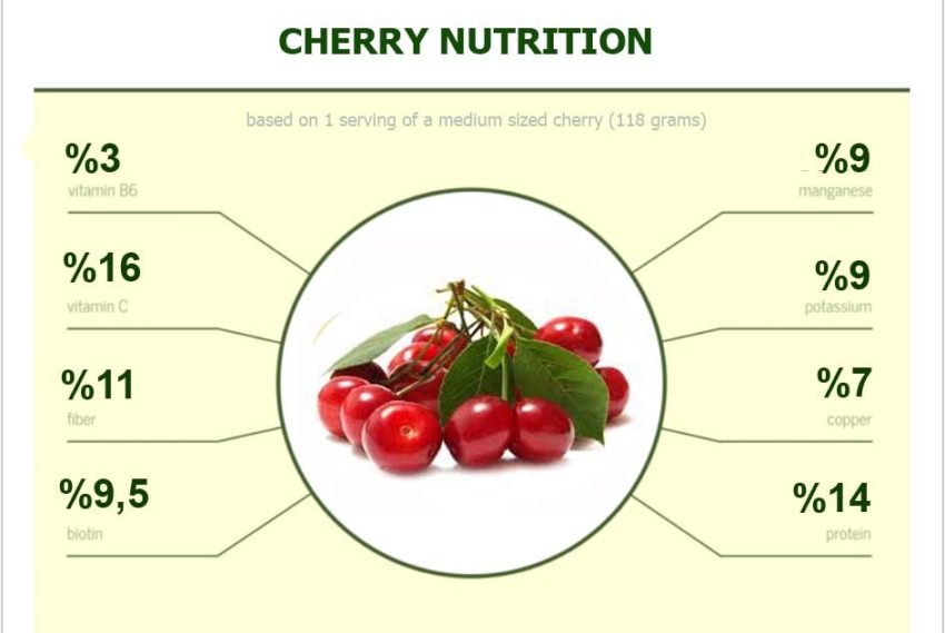 cherry-nutrition