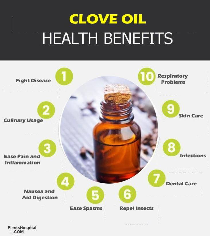 clove-oil-graphic
