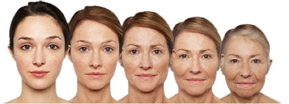 What Is Aging? Aging Process Definition