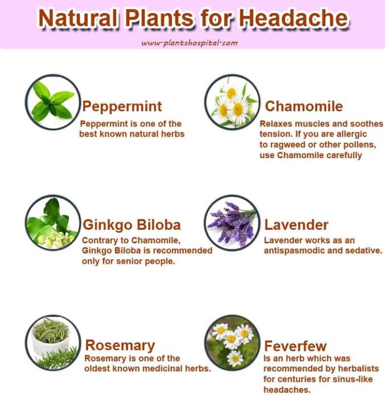 Headaches: Types, Causes, Recipes And Treatment