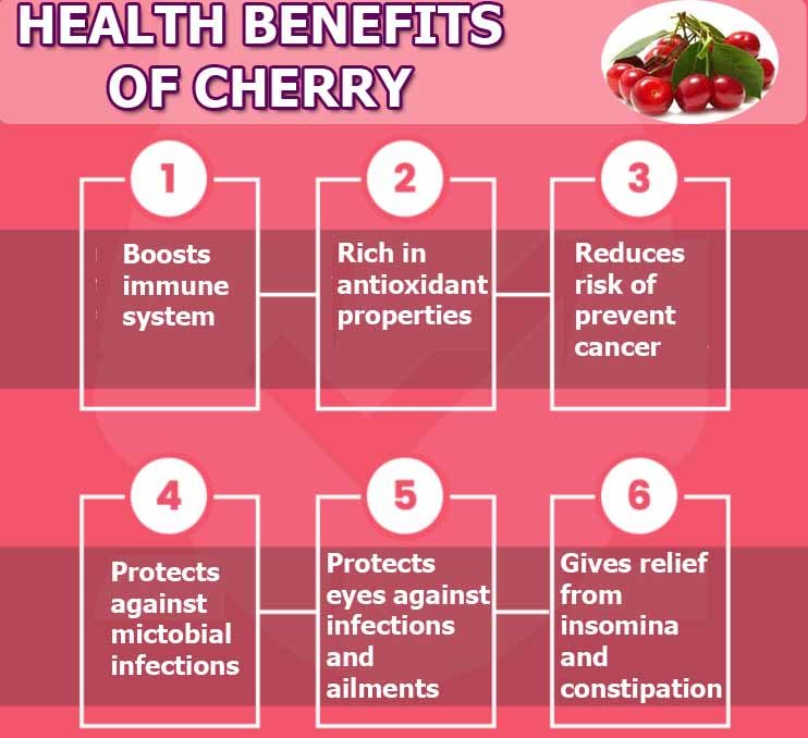 Wonderful Health Benefits and Uses Of Cherries