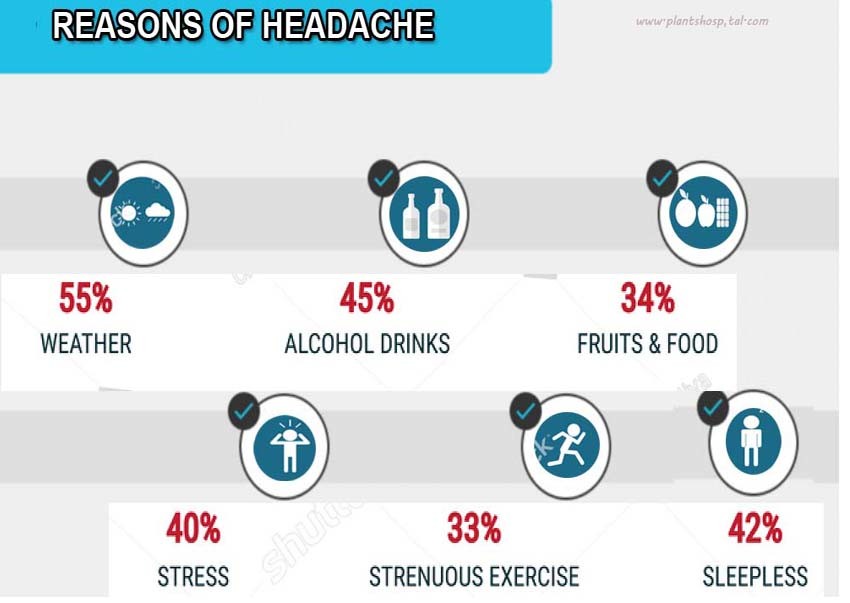 infograpich-headache