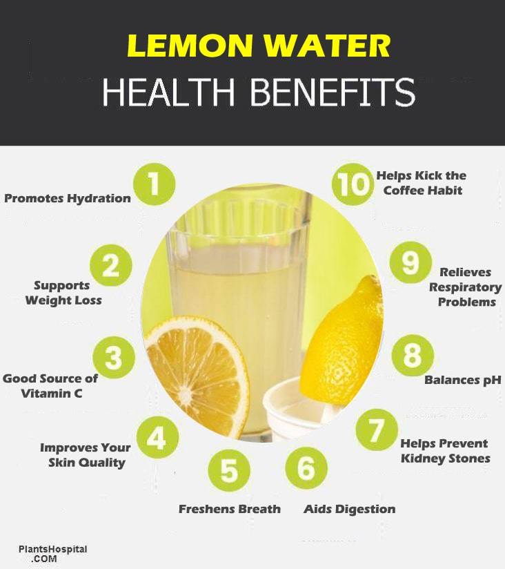 lemon-water-graphic