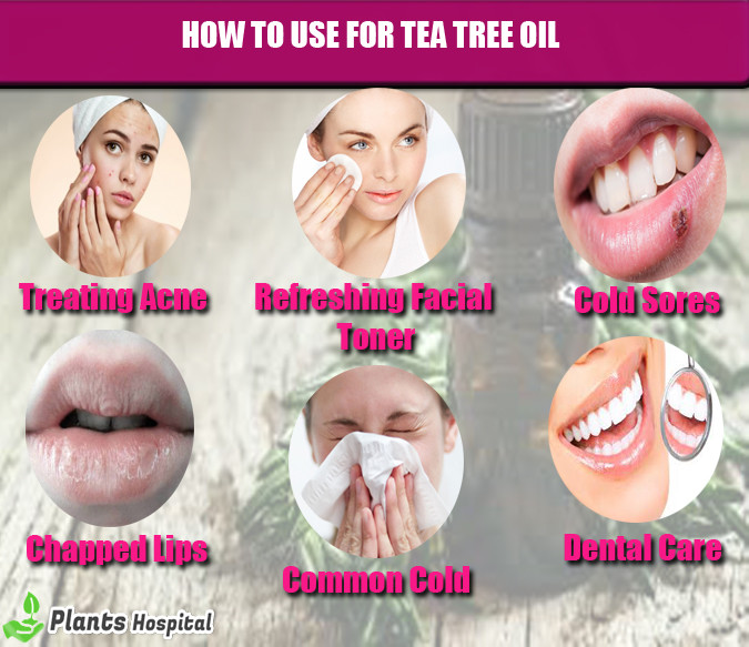 use-tea-tree-oil