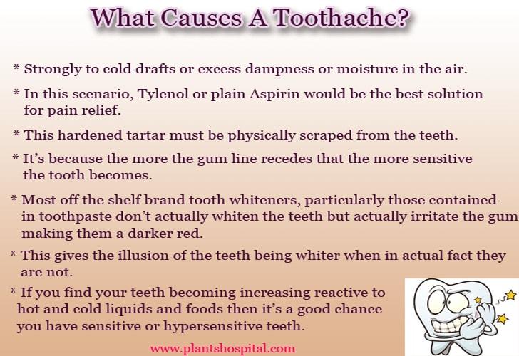 what-causes-a-toothache-graphic