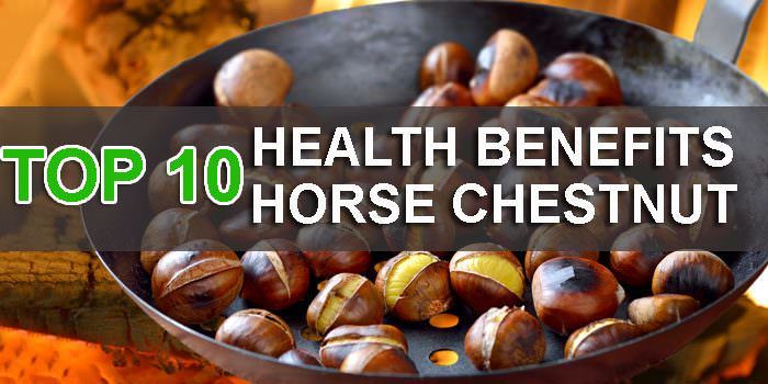Health Benefits Of Horse Chestnut