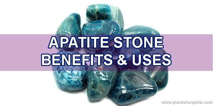 apatite stone