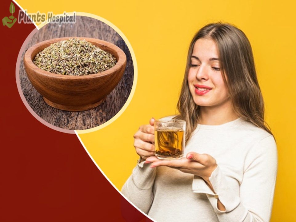 thyme tea herbal tea health benefits in winter