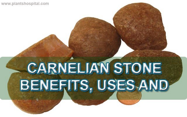 Carnelian Stone Benefits Uses And Meaning