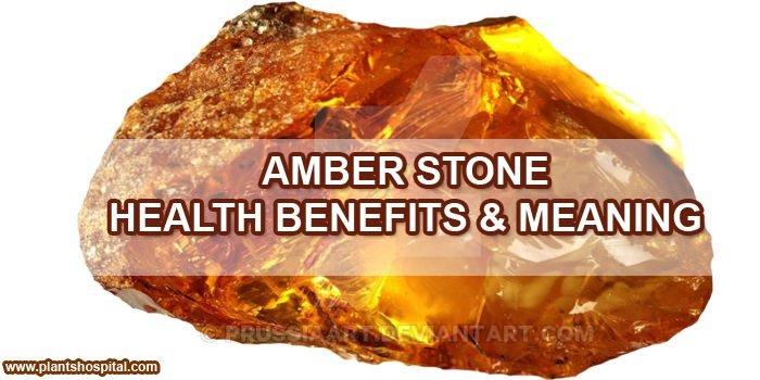 amber stone health benefits and uses