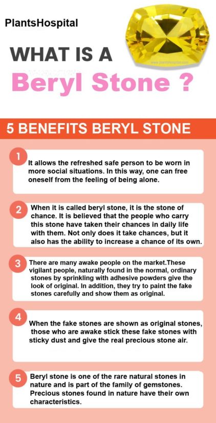 Beryl-Graphic