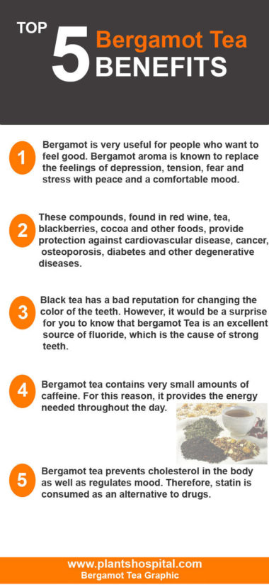 Bergamot- Tea-Graphic