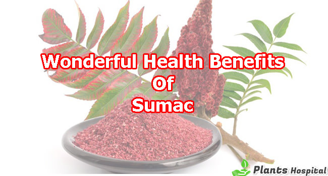 Sumac-Benefits
