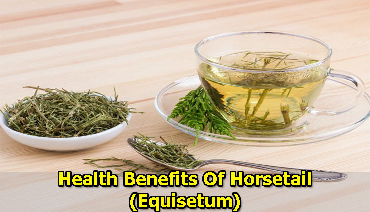 Benefits Of Horsetail