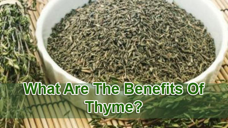 Benefits Of Thyme