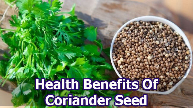 Coriander Seed Benefits