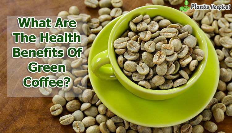 Green-Coffee-Benefits