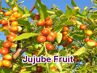 Jujube-Fruit