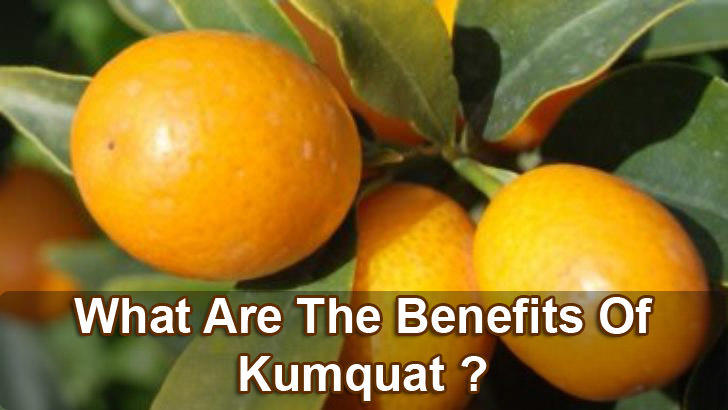 Kumqat-benefits