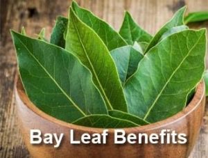 bay-leaf-benefits