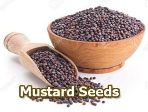 Mustard-Seeds