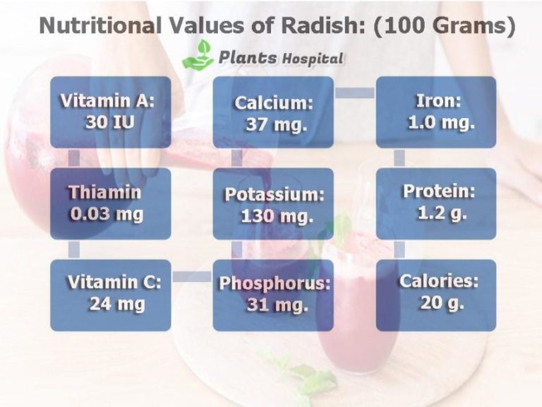 What Are The Benefits Of Radish Juice (Raphanus Sativus)