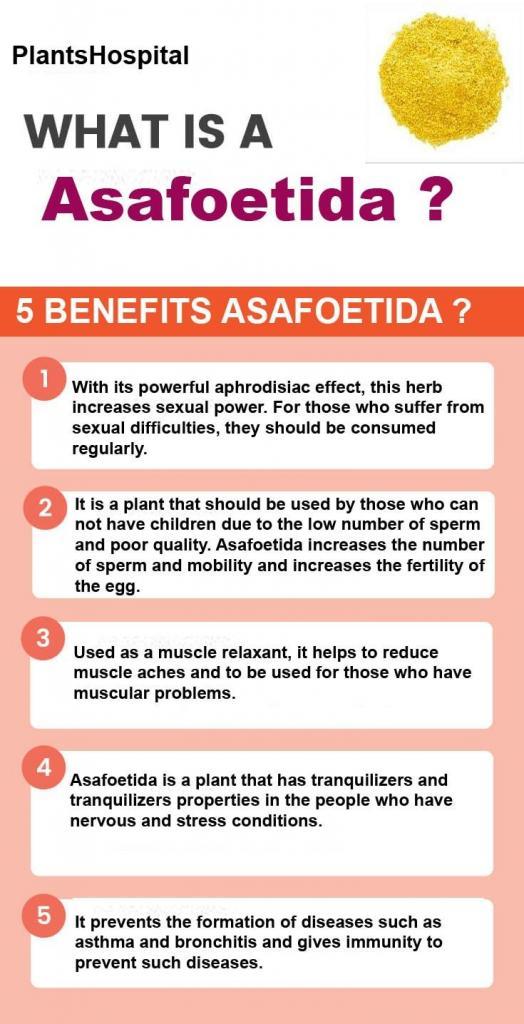 Asafoetida (FerulaHing Spice) Health Benefits, Uses And Warnings