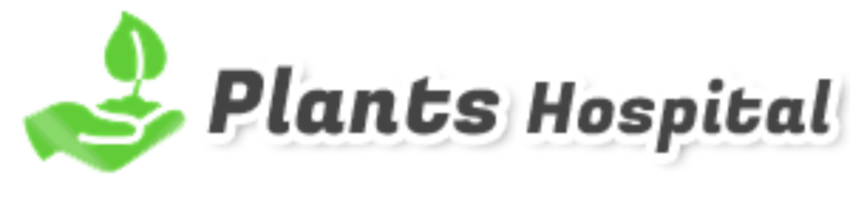Plants Hospital – healthy & happy living