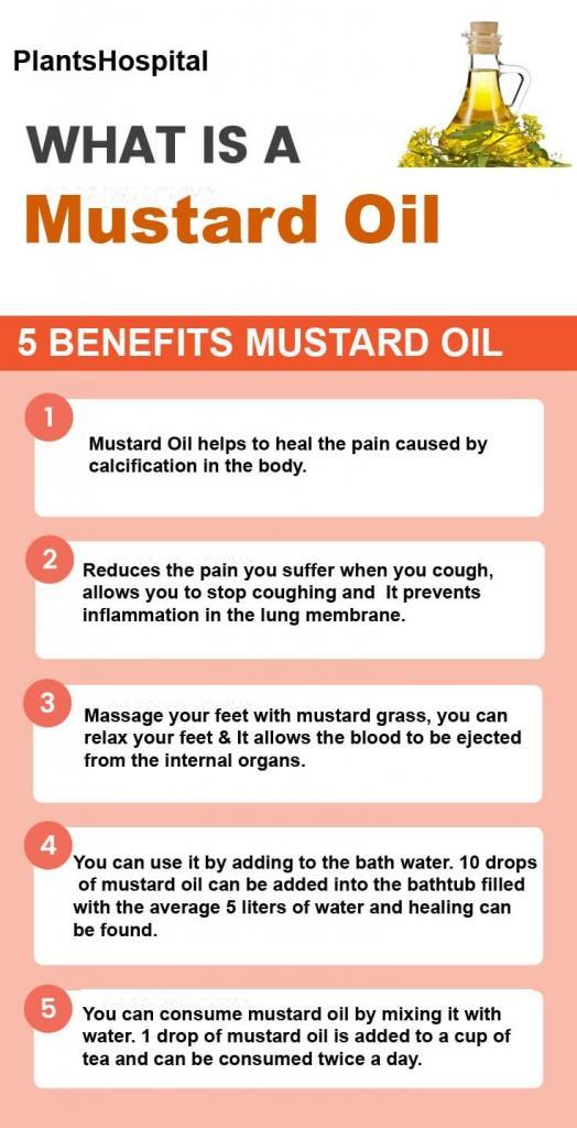 What Are The Health Benefits Of Mustard Seeds And Mustard Seeds Oil?