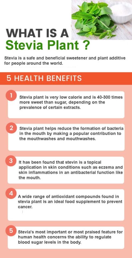 stevia-plant-graphic