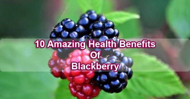 Blackberry-benefits