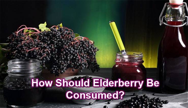 elderberry-benefits