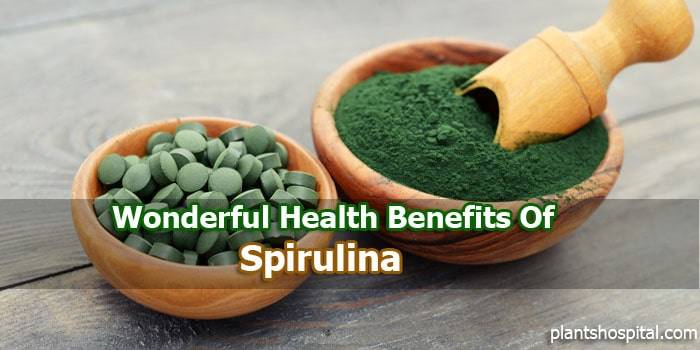 Spirulina-benefits