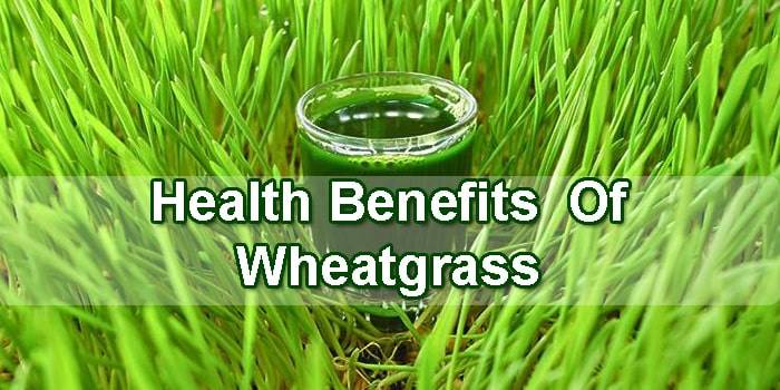 Wheatgrass-benefits