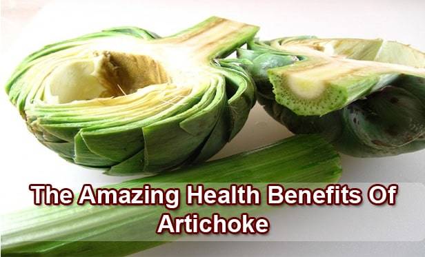 artichoke-benefits