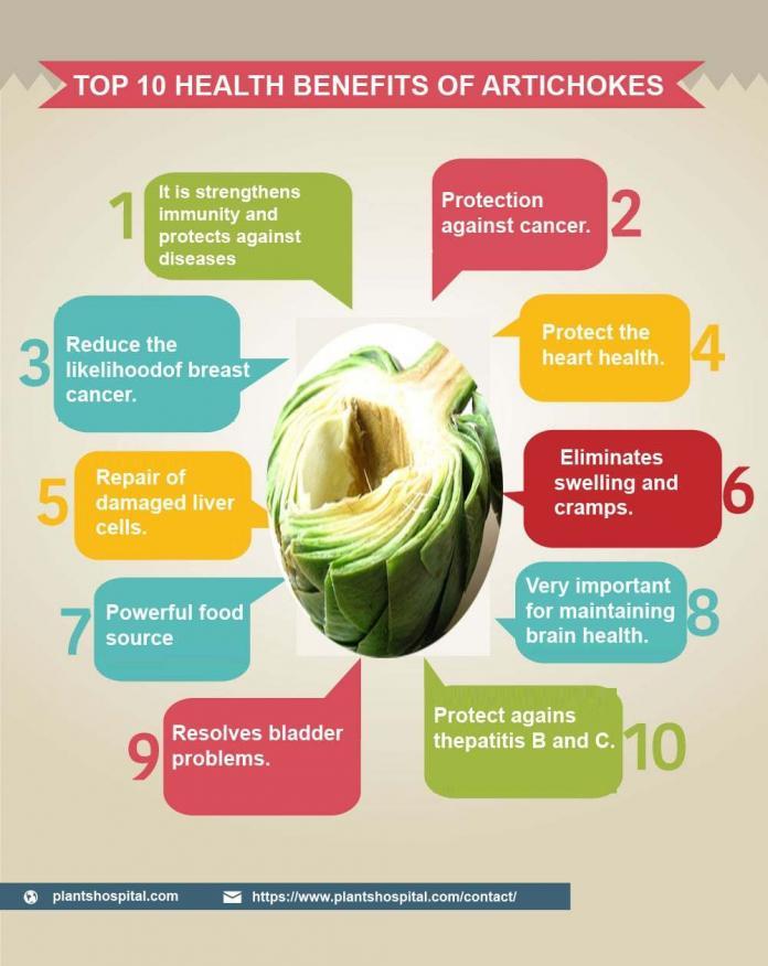 What is Artichoke? How To Use? What Are Health Benefits?