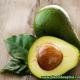 avocado-leaves-benefits