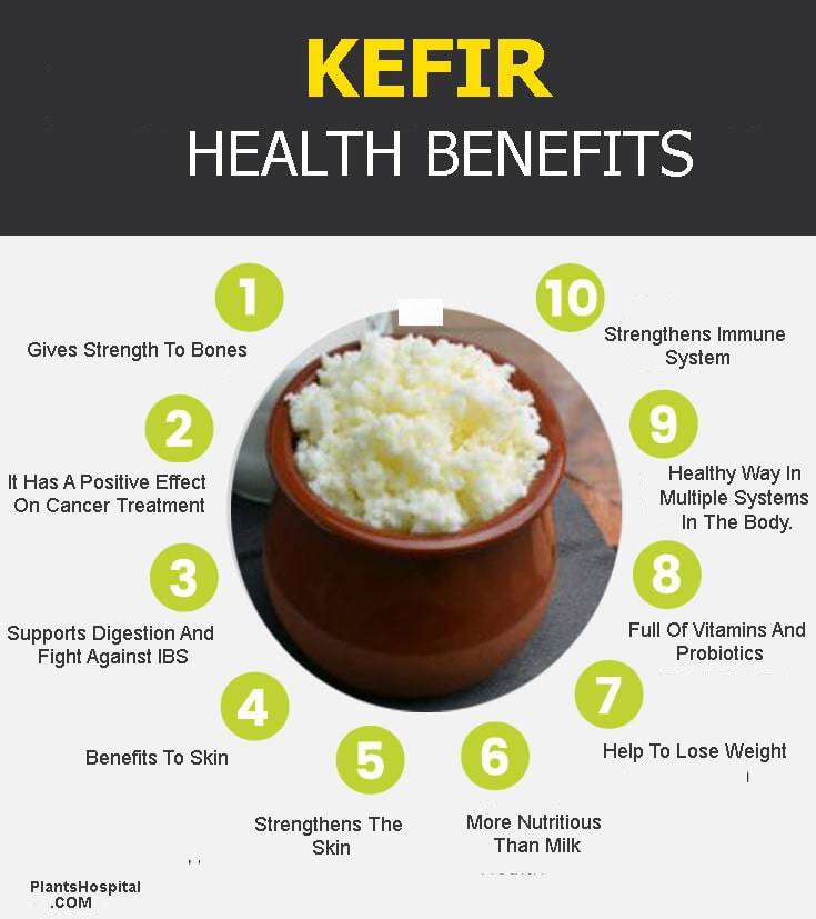 kefir-graphic