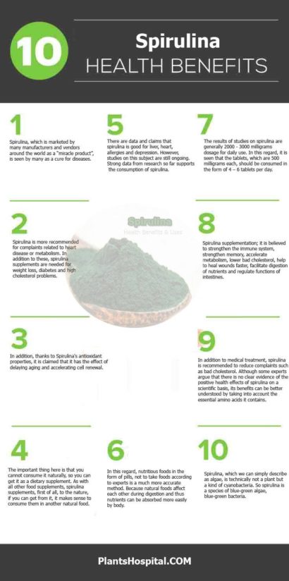 spirulina-graphic