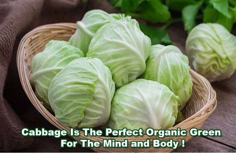 benefits-of-cabbage