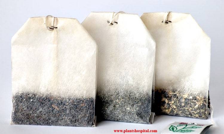 tea-bags