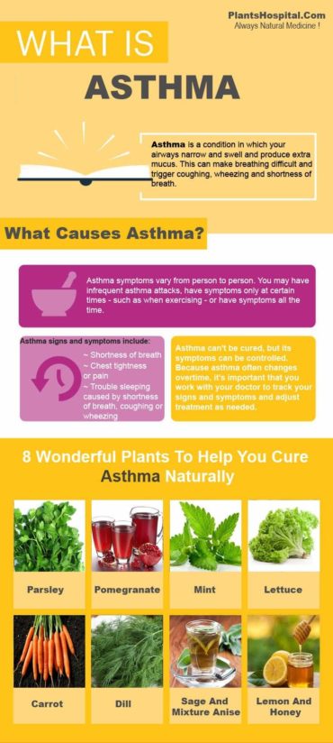 AsthmaGraphic